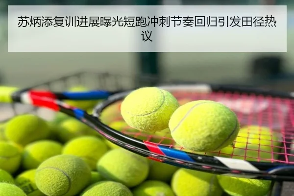 苏炳添复训进展曝光短跑冲刺节奏回归引发田径热议