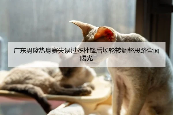 广东男篮热身赛失误过多杜锋后场轮转调整思路全面曝光